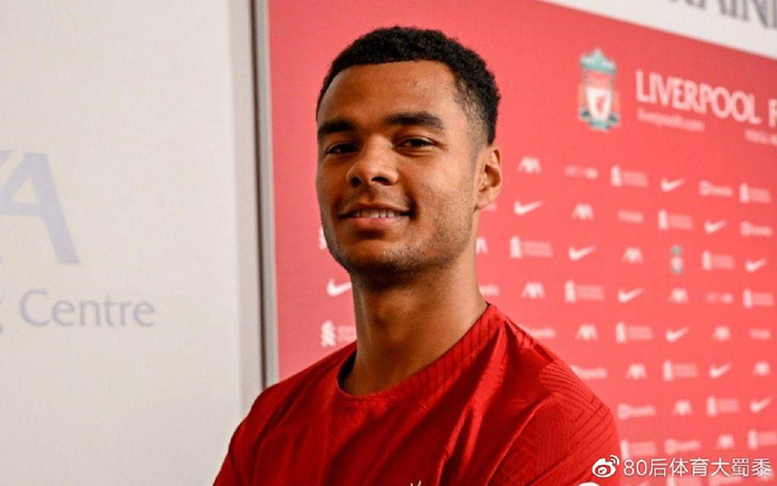 但如今回归 但如今回归